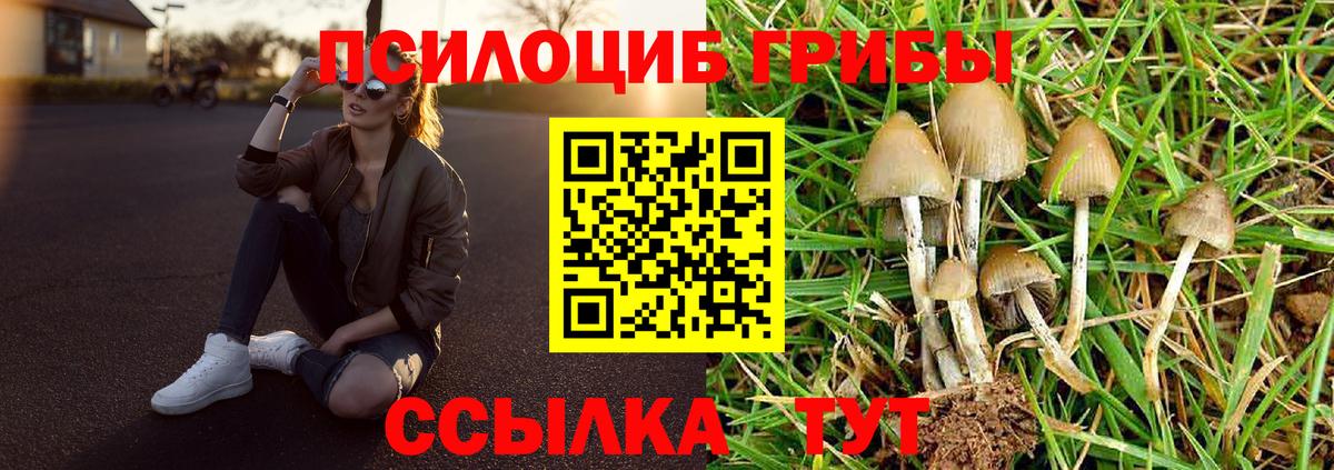 Псилоцибиновые грибы мицелий Среднеуральск