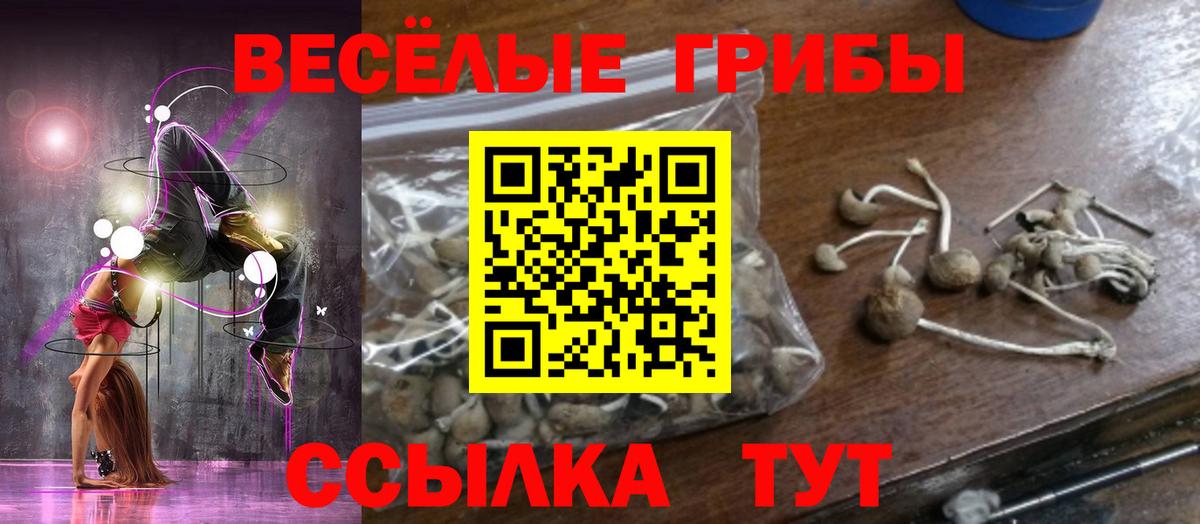 Среднеуральск  где можно купить наркотик  Вход с VPN  Псилоцибиновые грибы Cubensis 